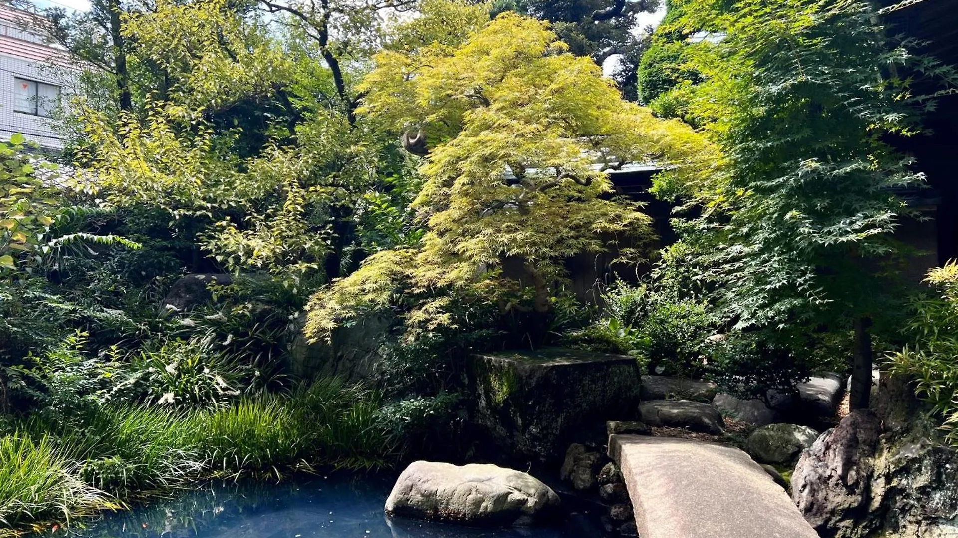 Shinjuku Sun Park Hotel 東京都 3*,  日本